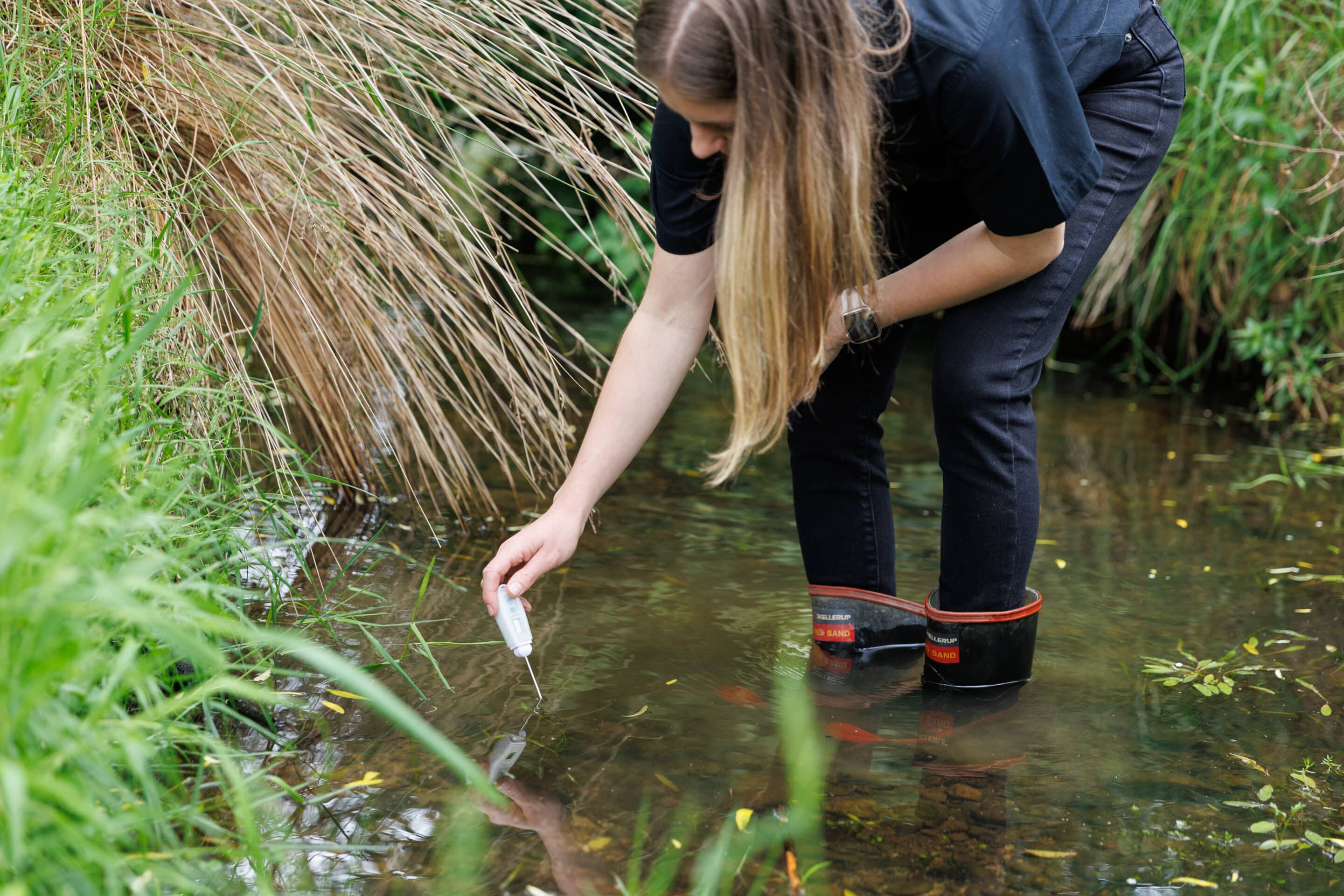 Farmers in wheat field